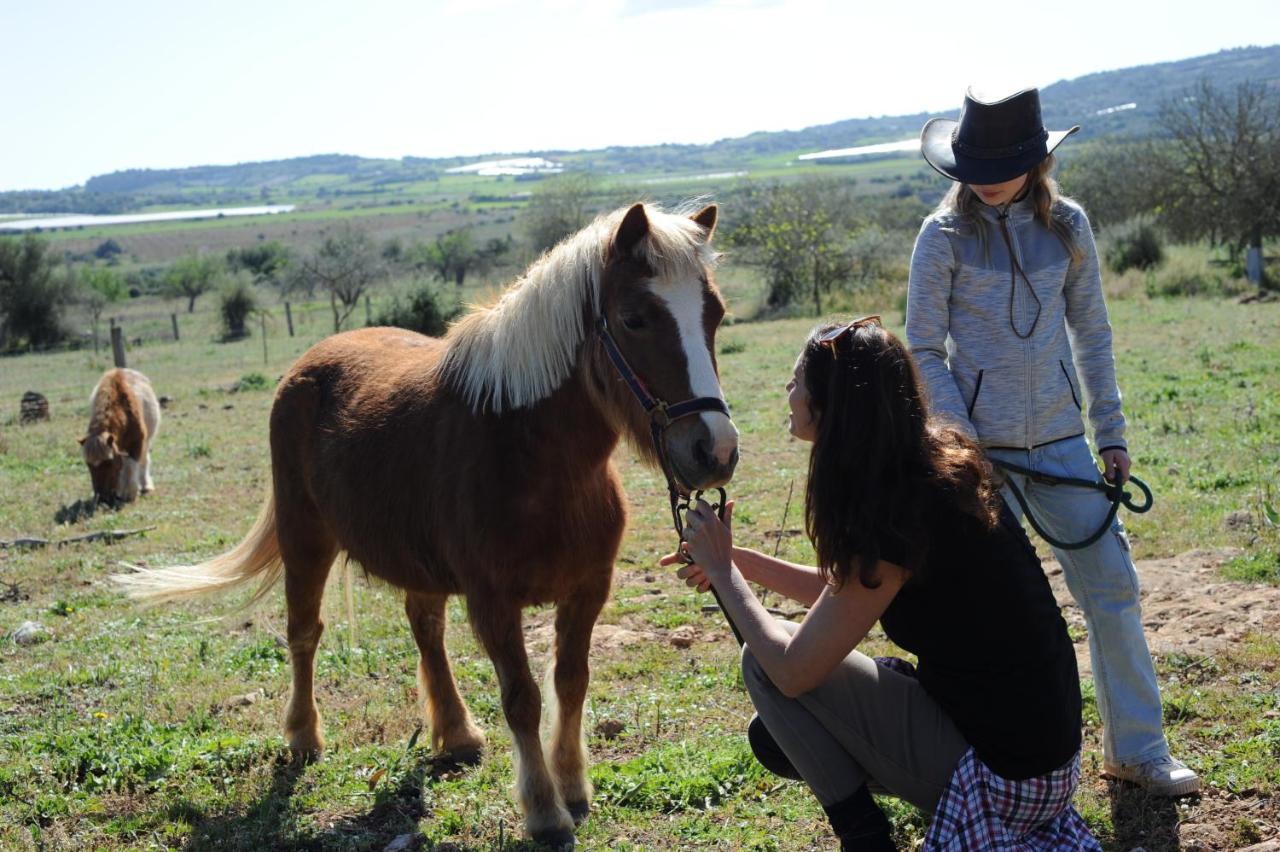 Finca Sa Cova Vella มานากอร์ ภายนอก รูปภาพ