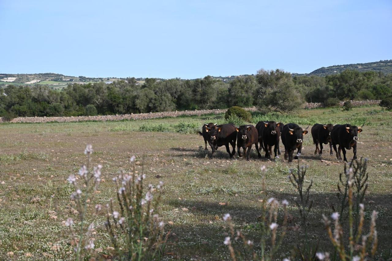 Finca Sa Cova Vella มานากอร์ ภายนอก รูปภาพ