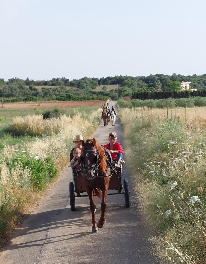 Finca Sa Cova Vella มานากอร์ ภายนอก รูปภาพ