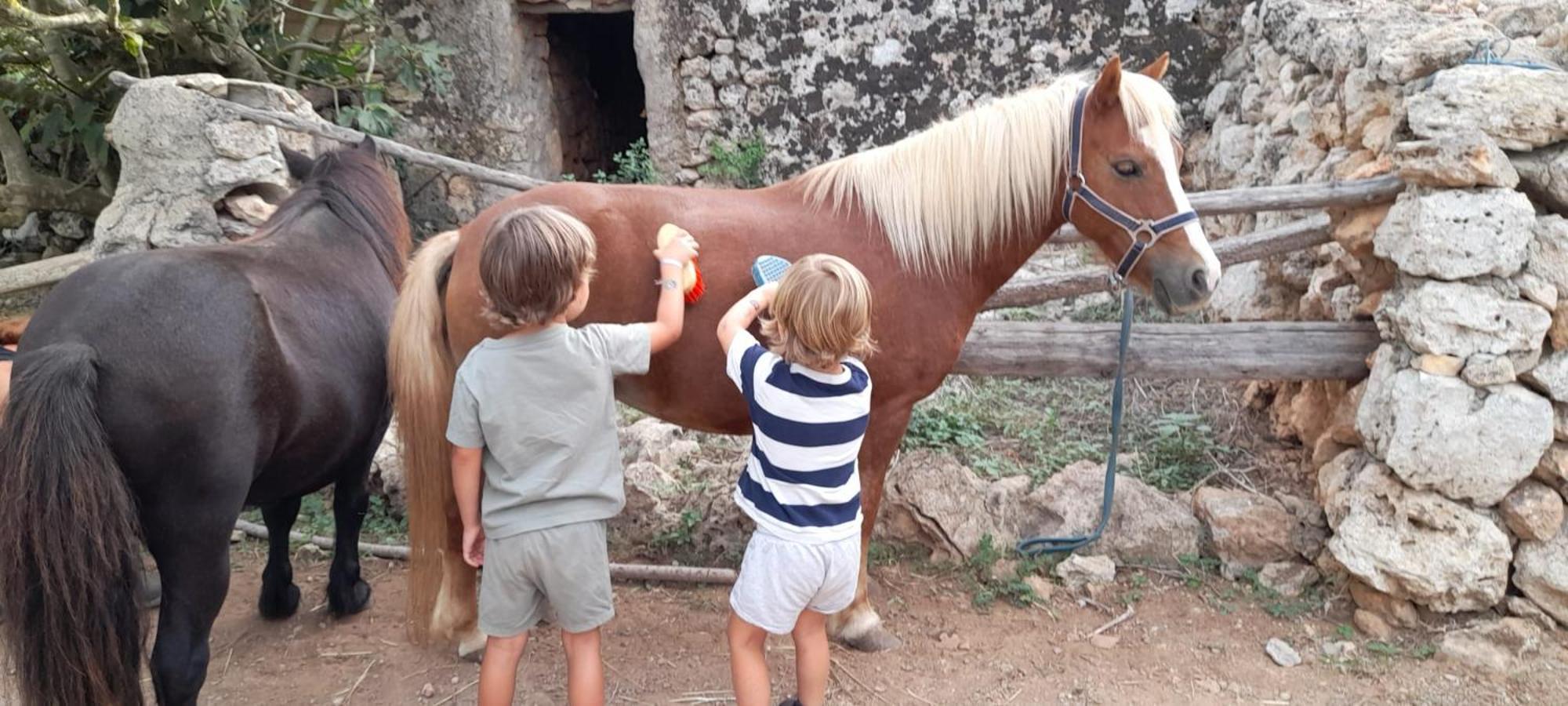 Finca Sa Cova Vella มานากอร์ ภายนอก รูปภาพ