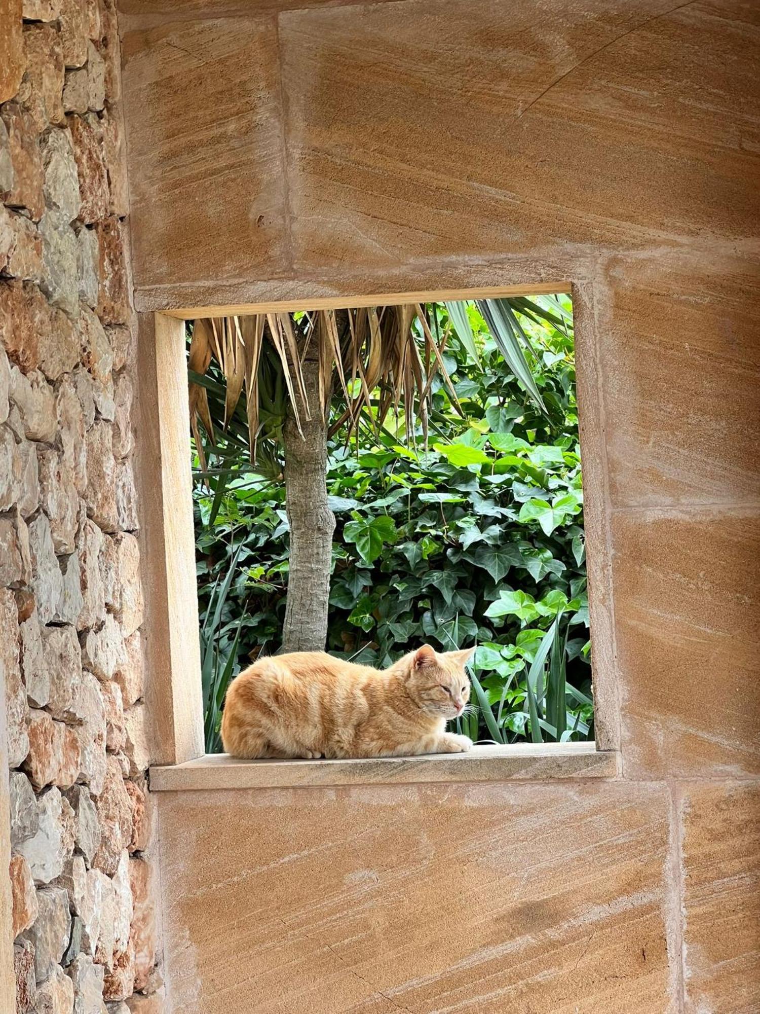 Finca Sa Cova Vella มานากอร์ ภายนอก รูปภาพ