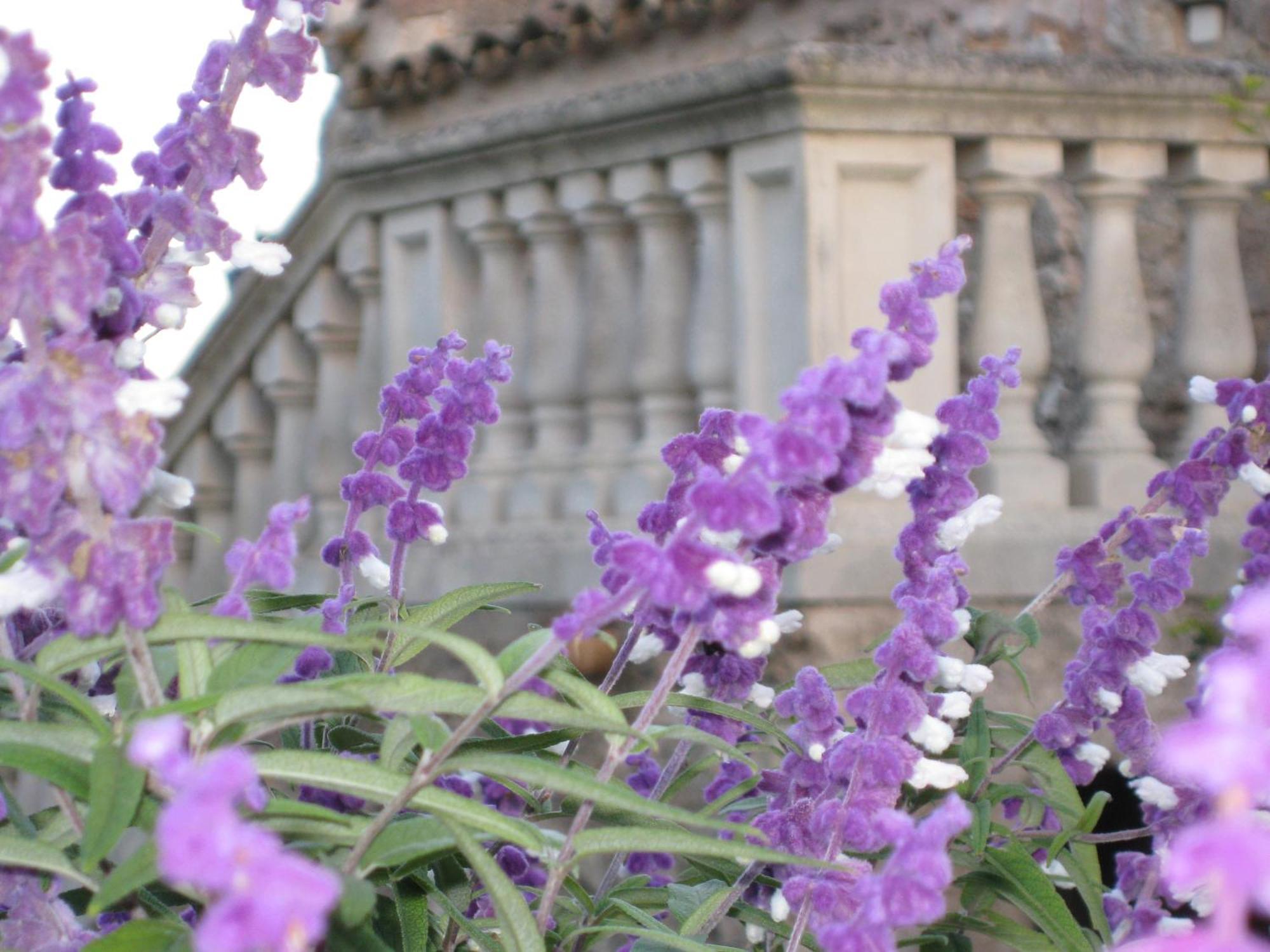 Finca Sa Cova Vella มานากอร์ ภายนอก รูปภาพ